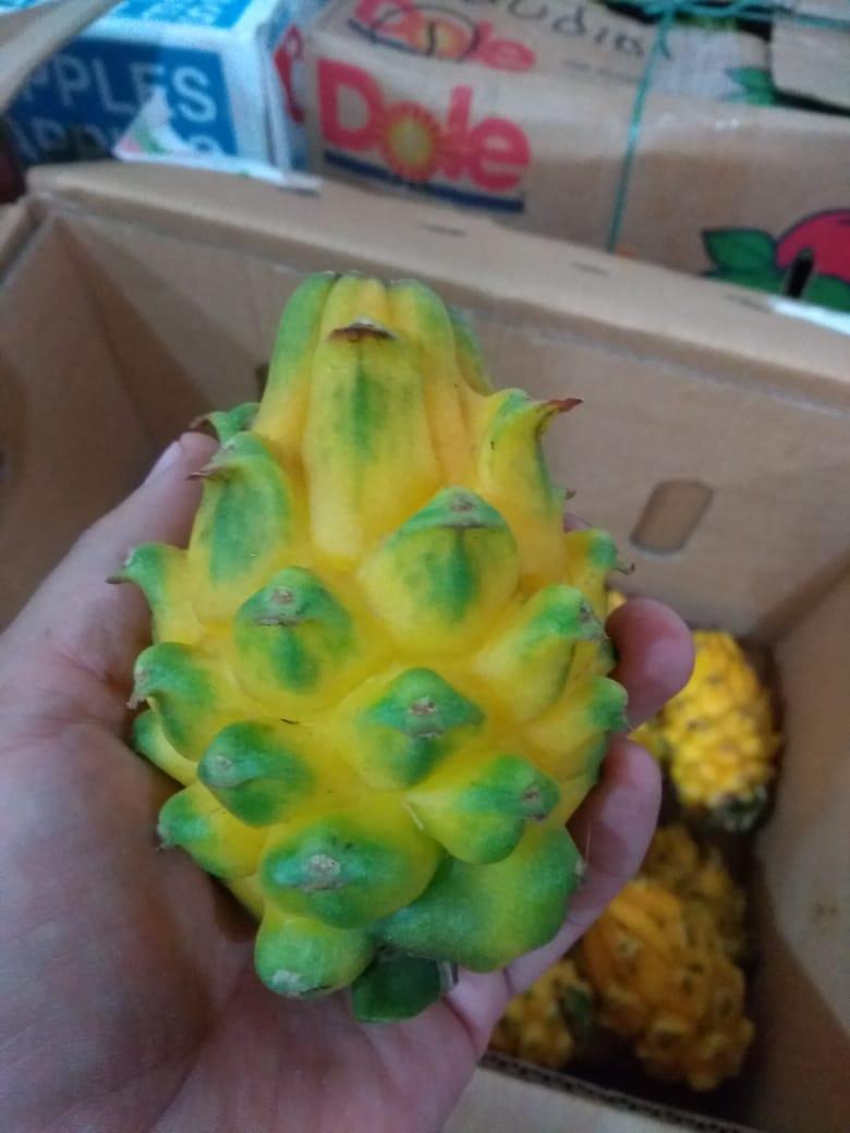 Pitahaya