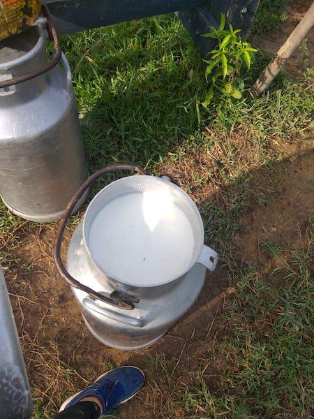 Leche De Vaca