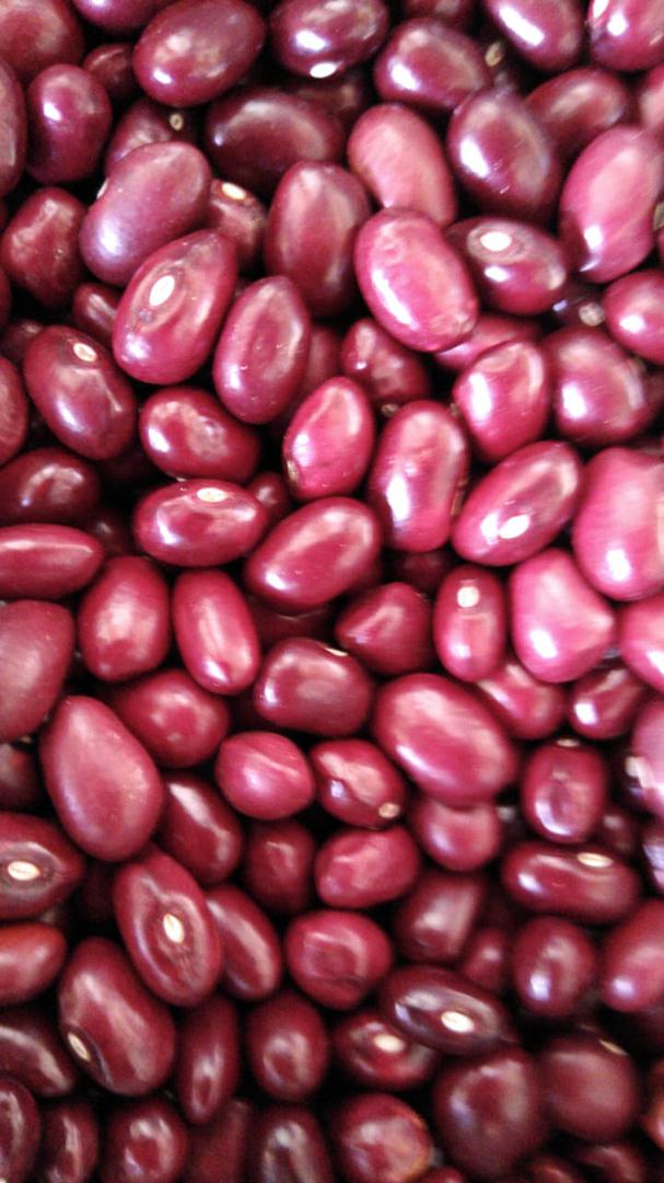 Frijol Lima Y Cargamanto Rojo