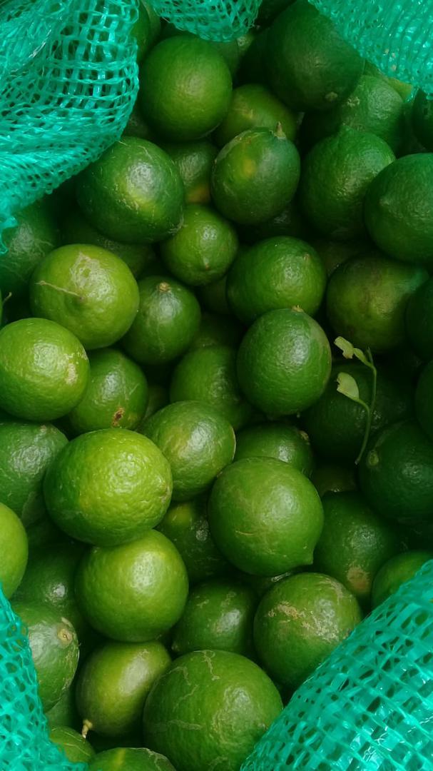 Limon Tahiti