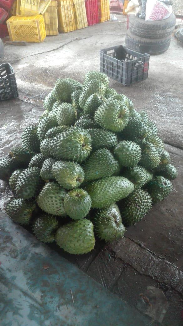 Guanabana — foto 2 de 2