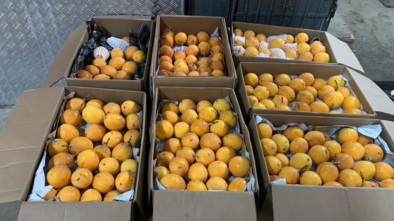 Granadilla Extra