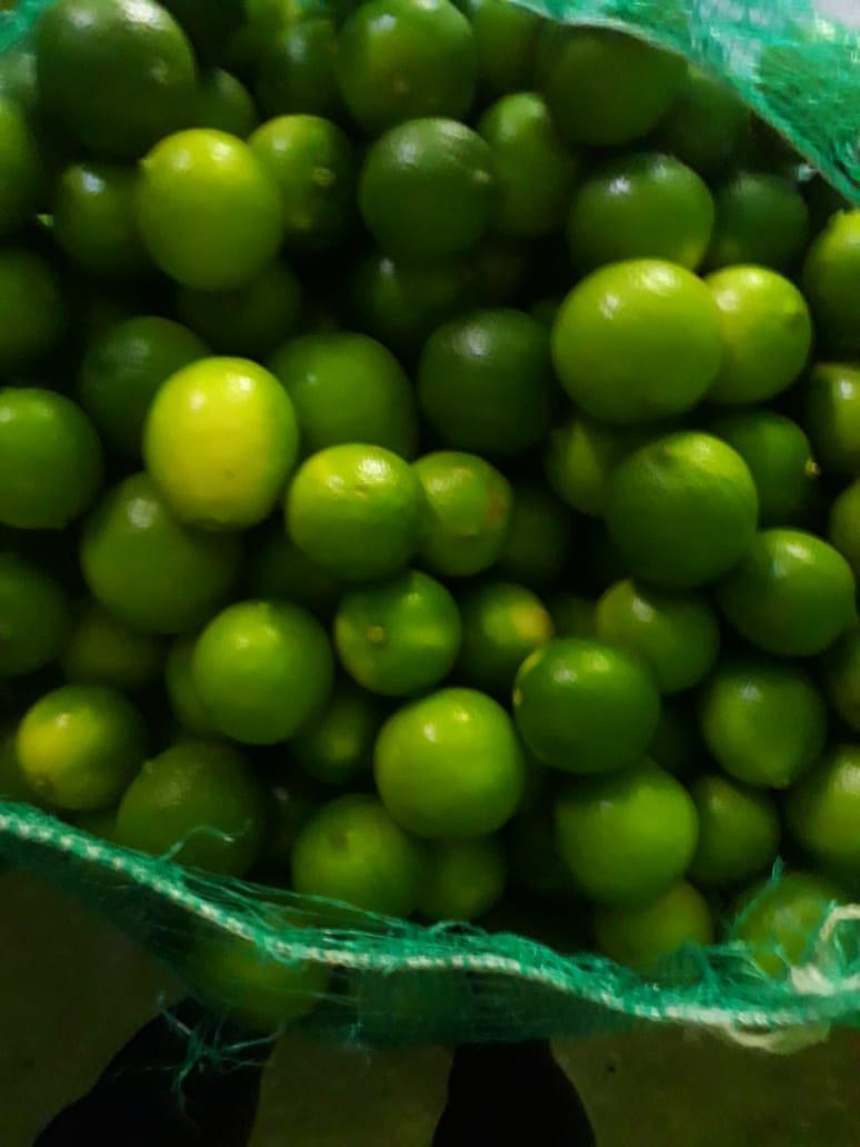 Limon Tahiti
