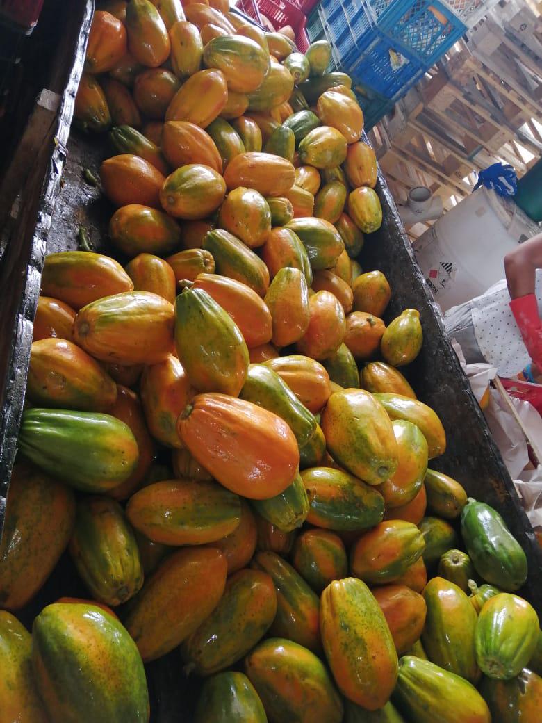 Papaya Maradona Y Tainug