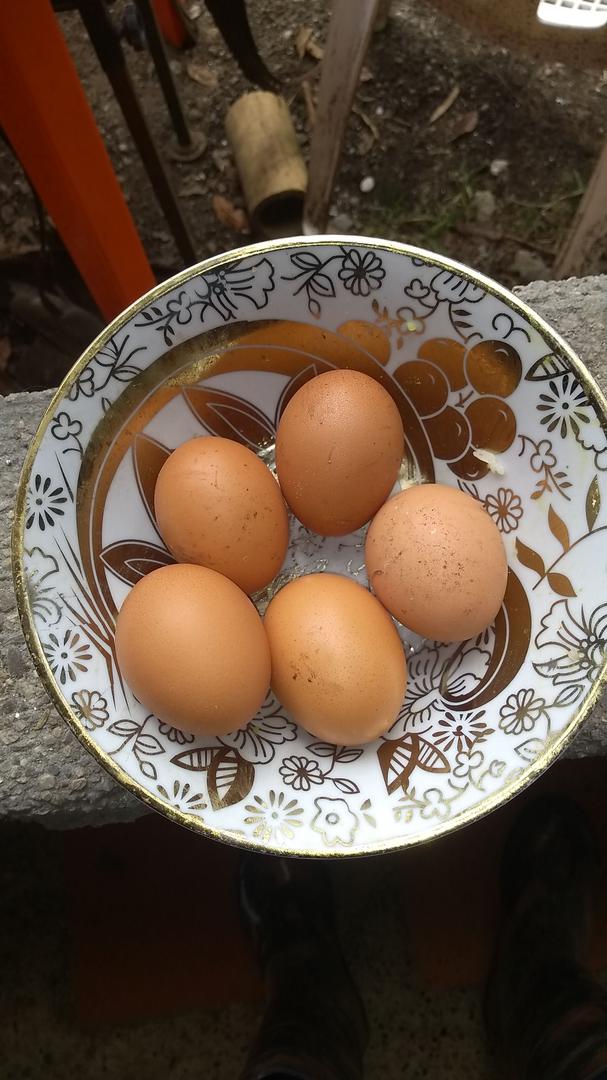 Huevos A