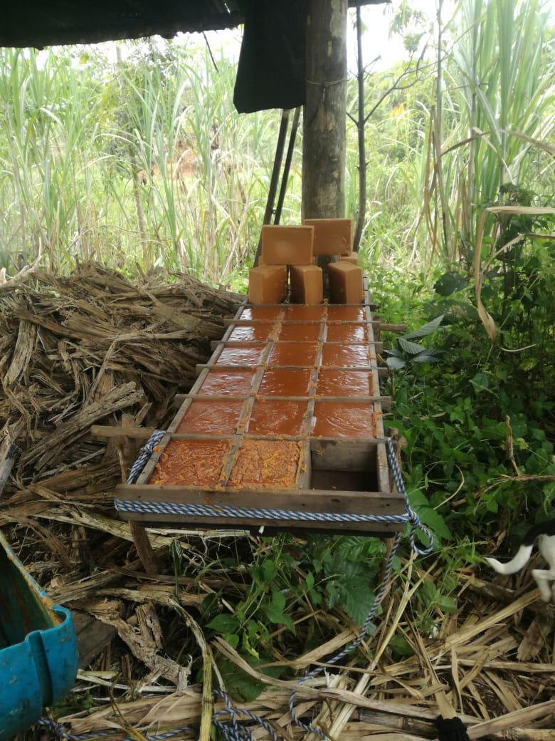 Panela