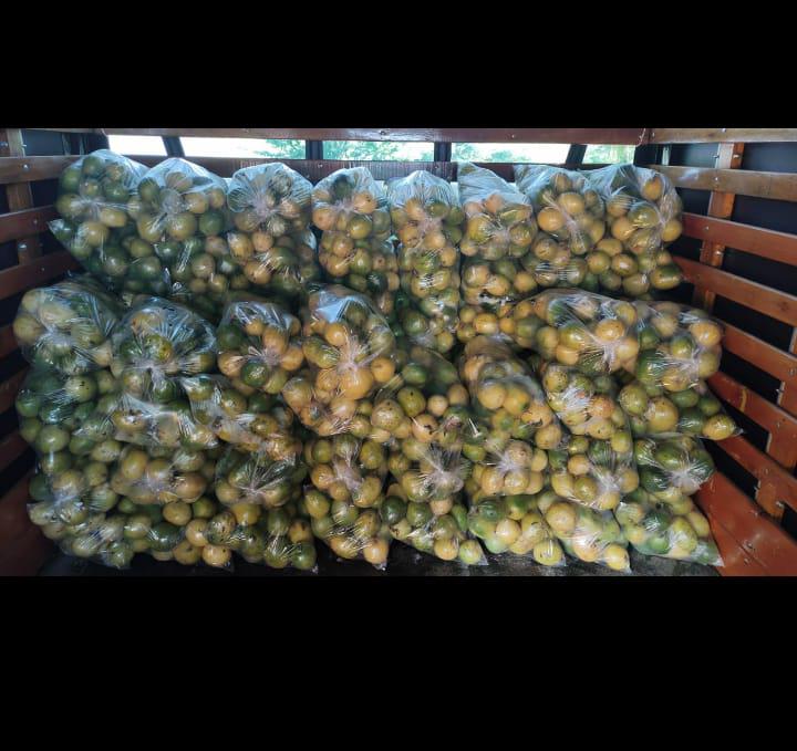 Maracuya Seleccionada