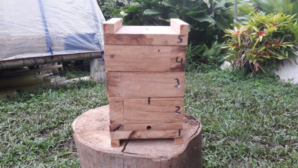 Colmena Modelo Racional En Madera