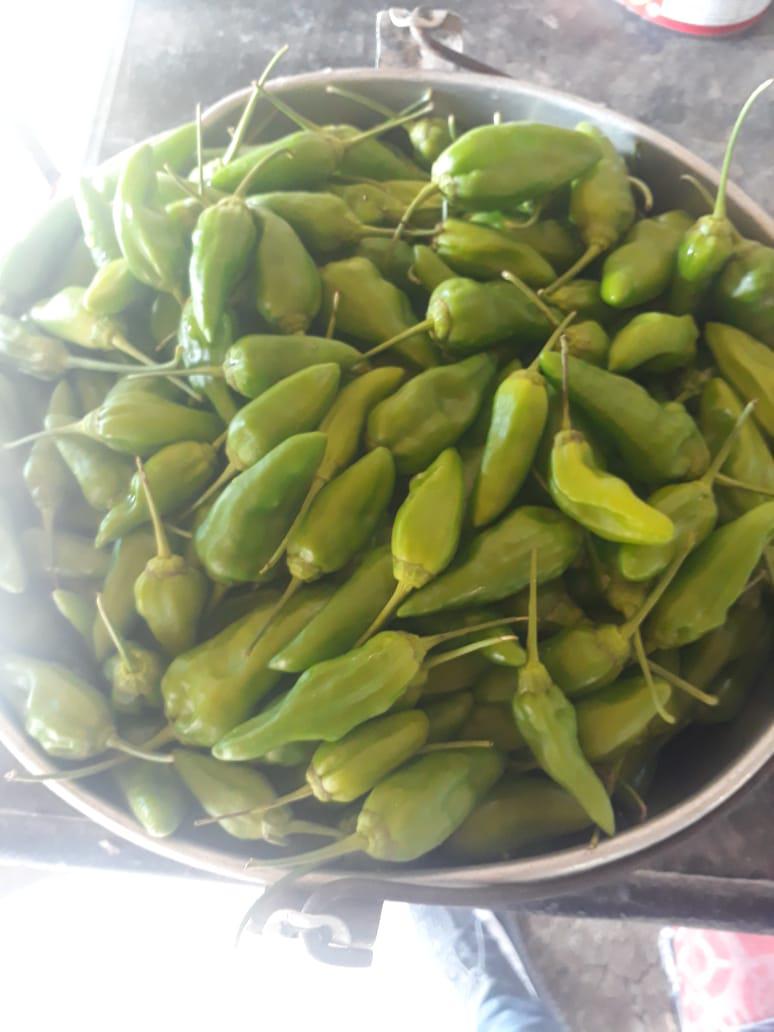 Aji Dulce — foto 2 de 2