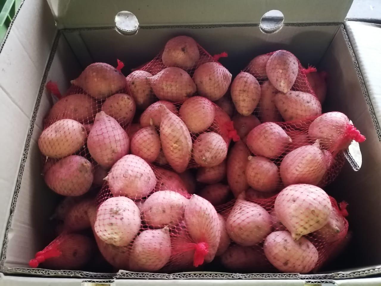 Batata