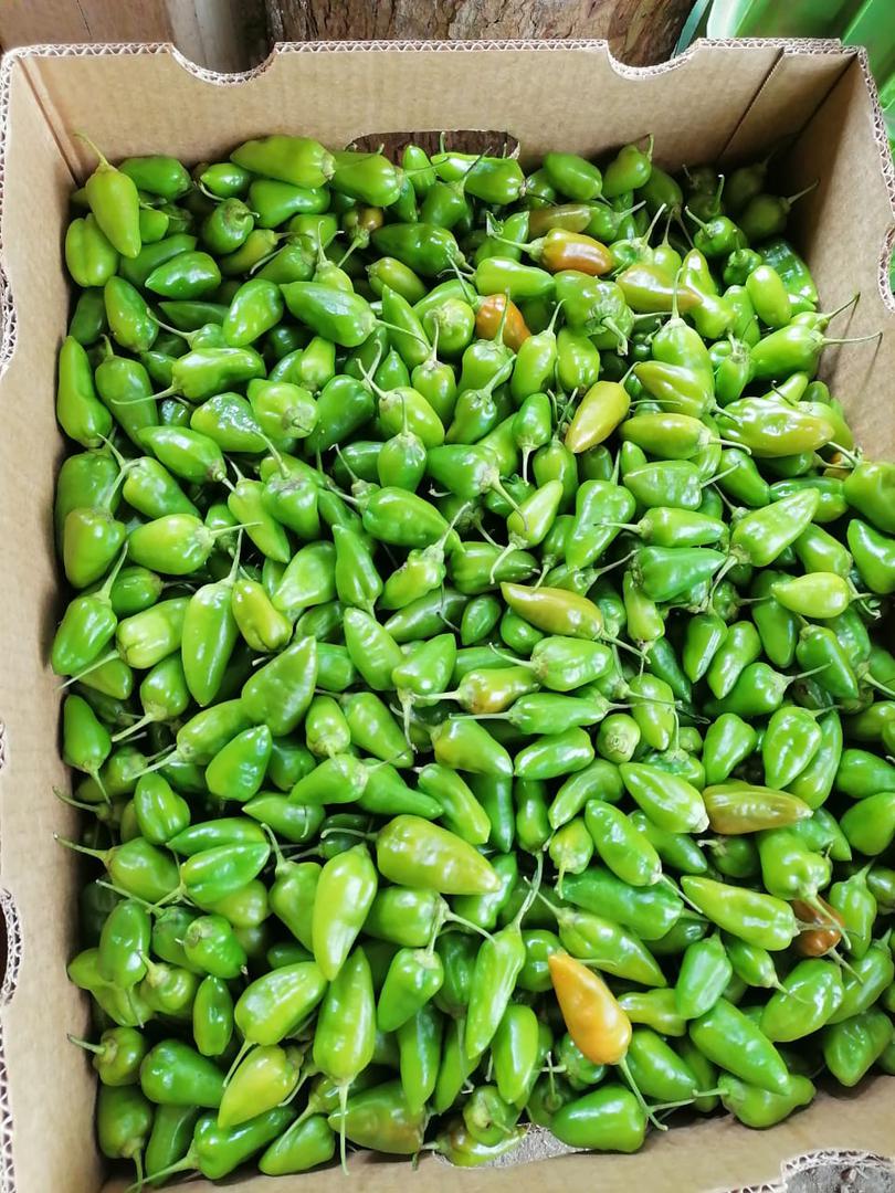 Aji Dulce