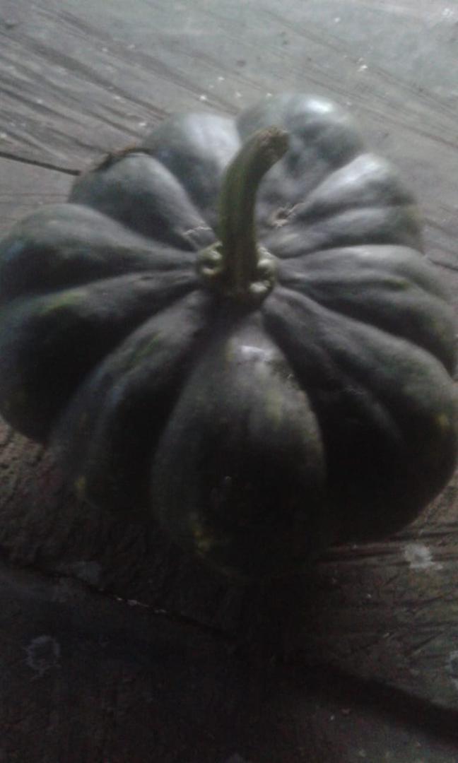 Ahuyama