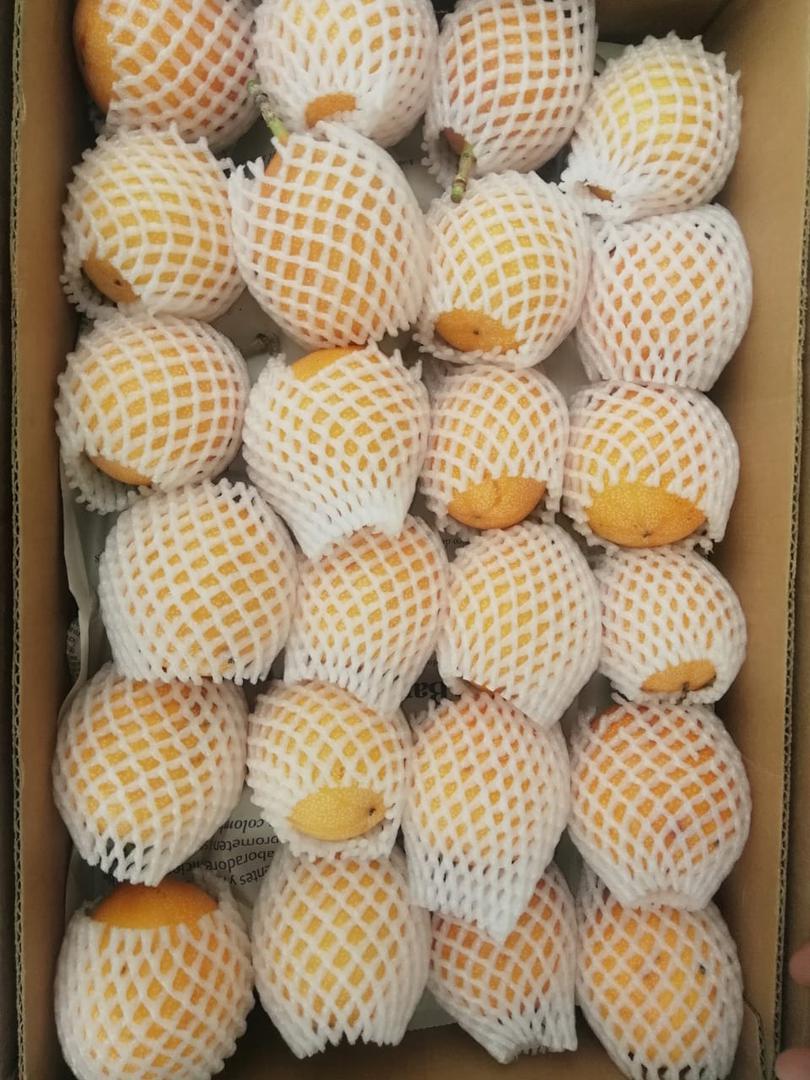 Granadilla
