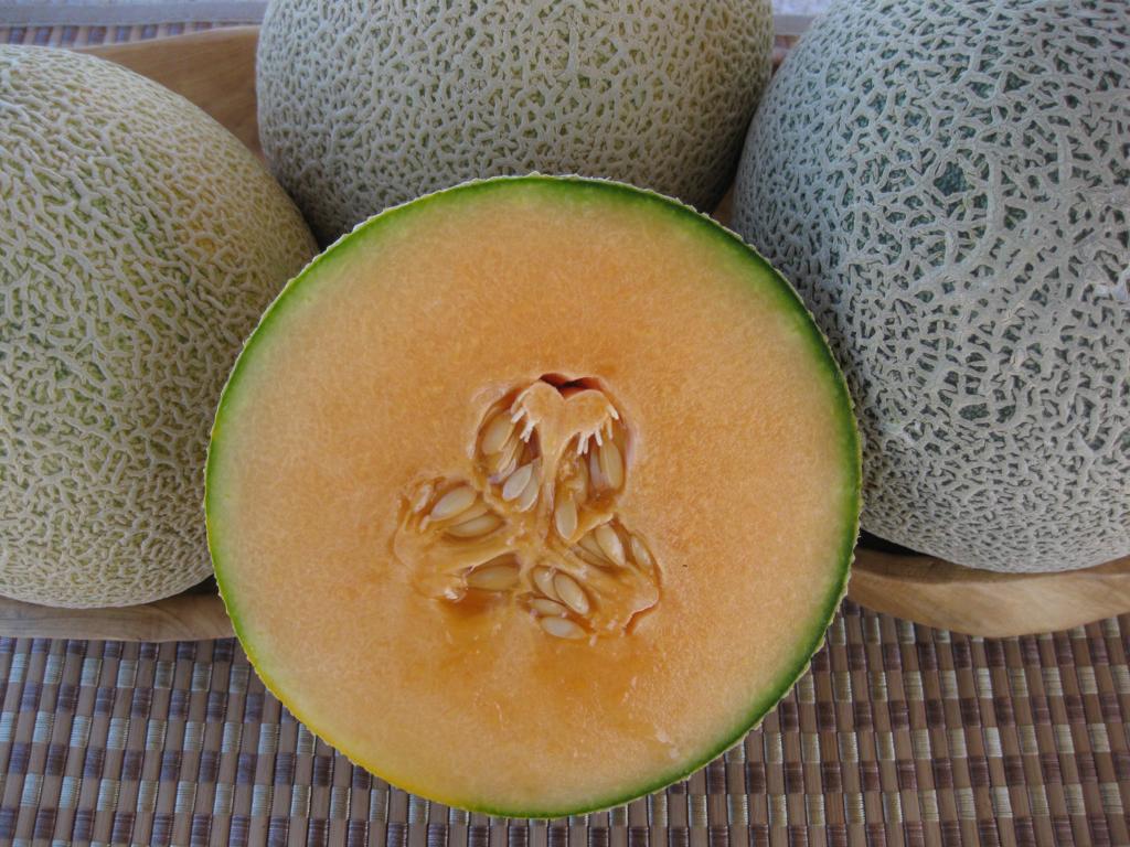 Melon