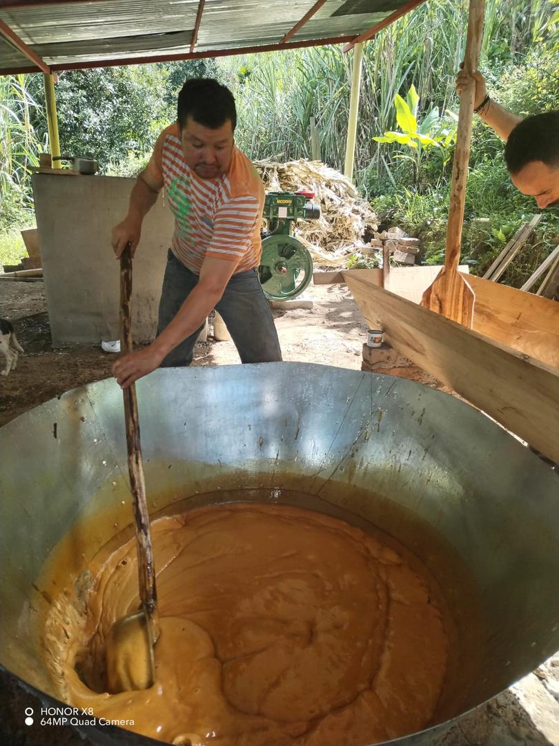 Panela