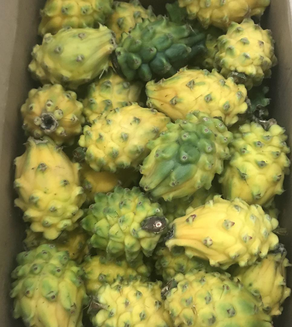 Pitaya Amarilla