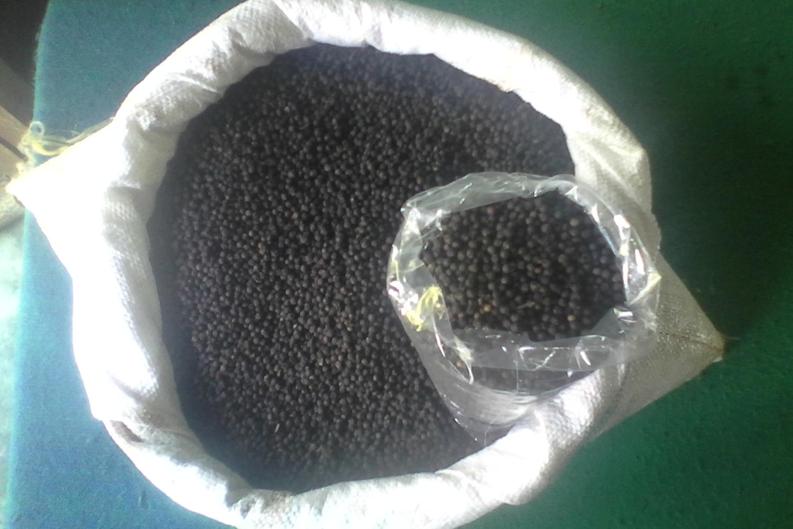 Pimienta Negra En Pepa Y Molido