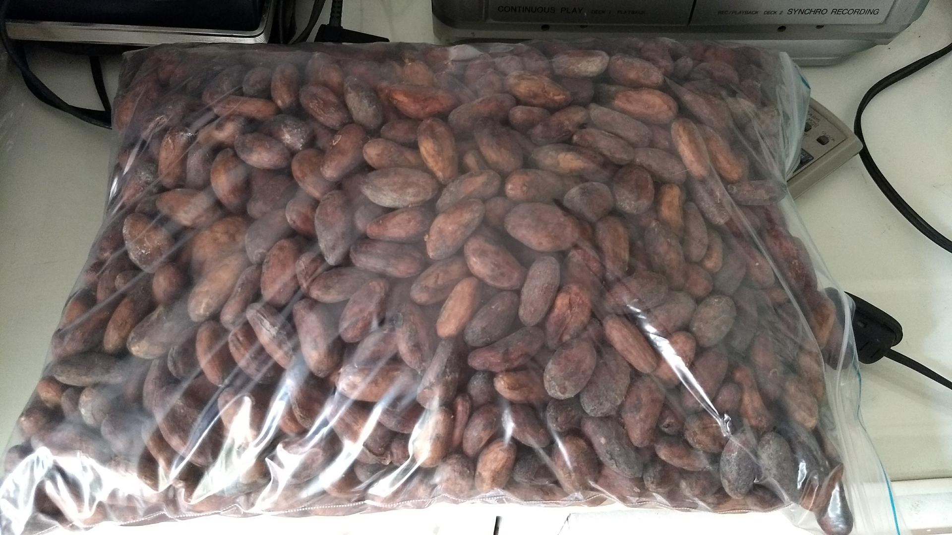 Cacao En Grano Seco