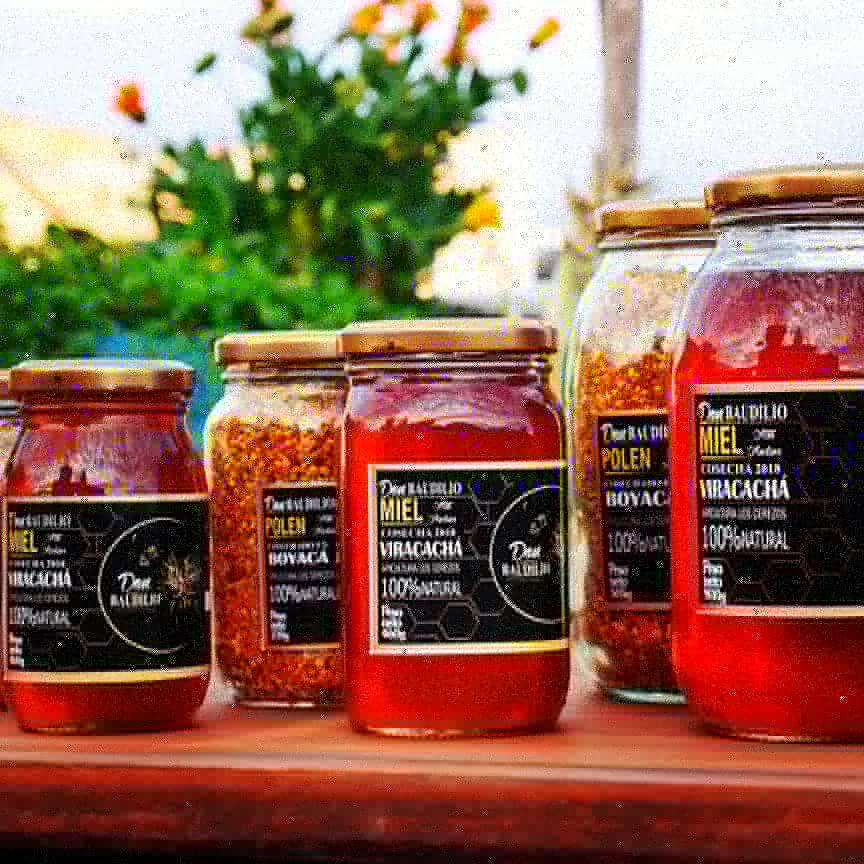 Miel De Abejas Organica 100 Natural