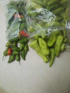Aji Dulce