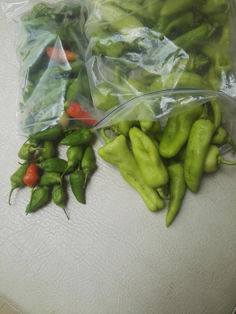 Aji Dulce