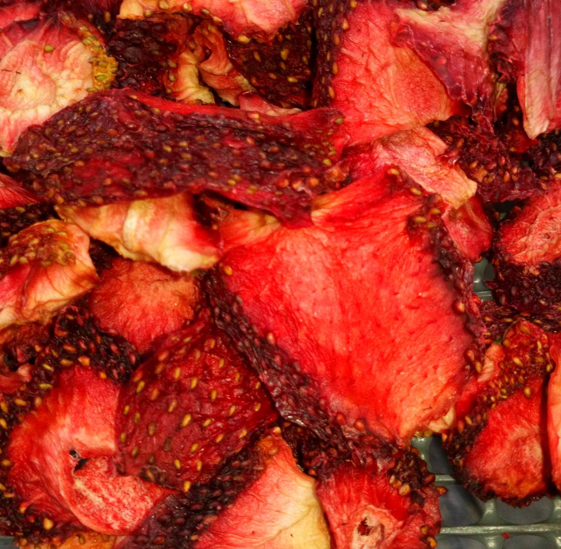 Fresa Deshidratada