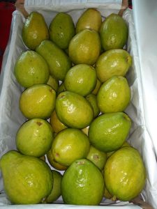 Guayaba Pera