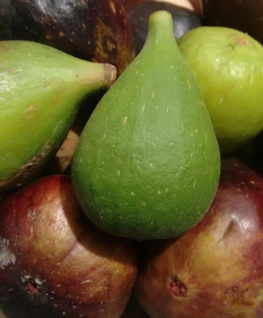 Higos