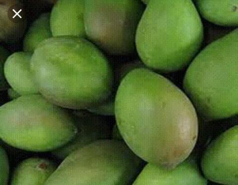 Mango Del Campo A Su Tienda