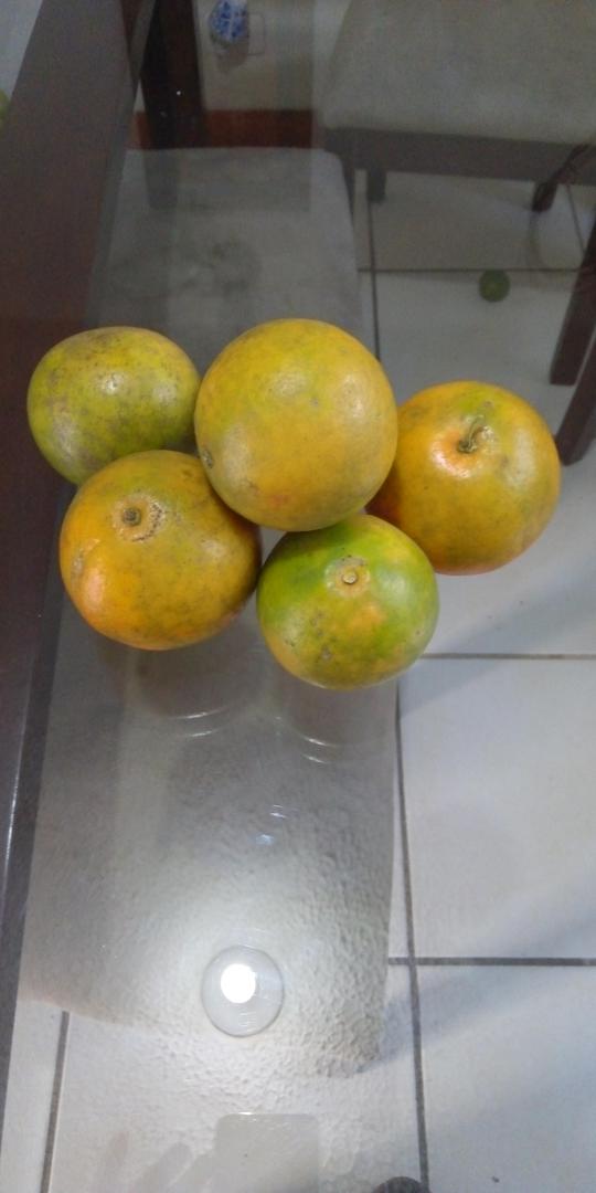Naranja Tangelo