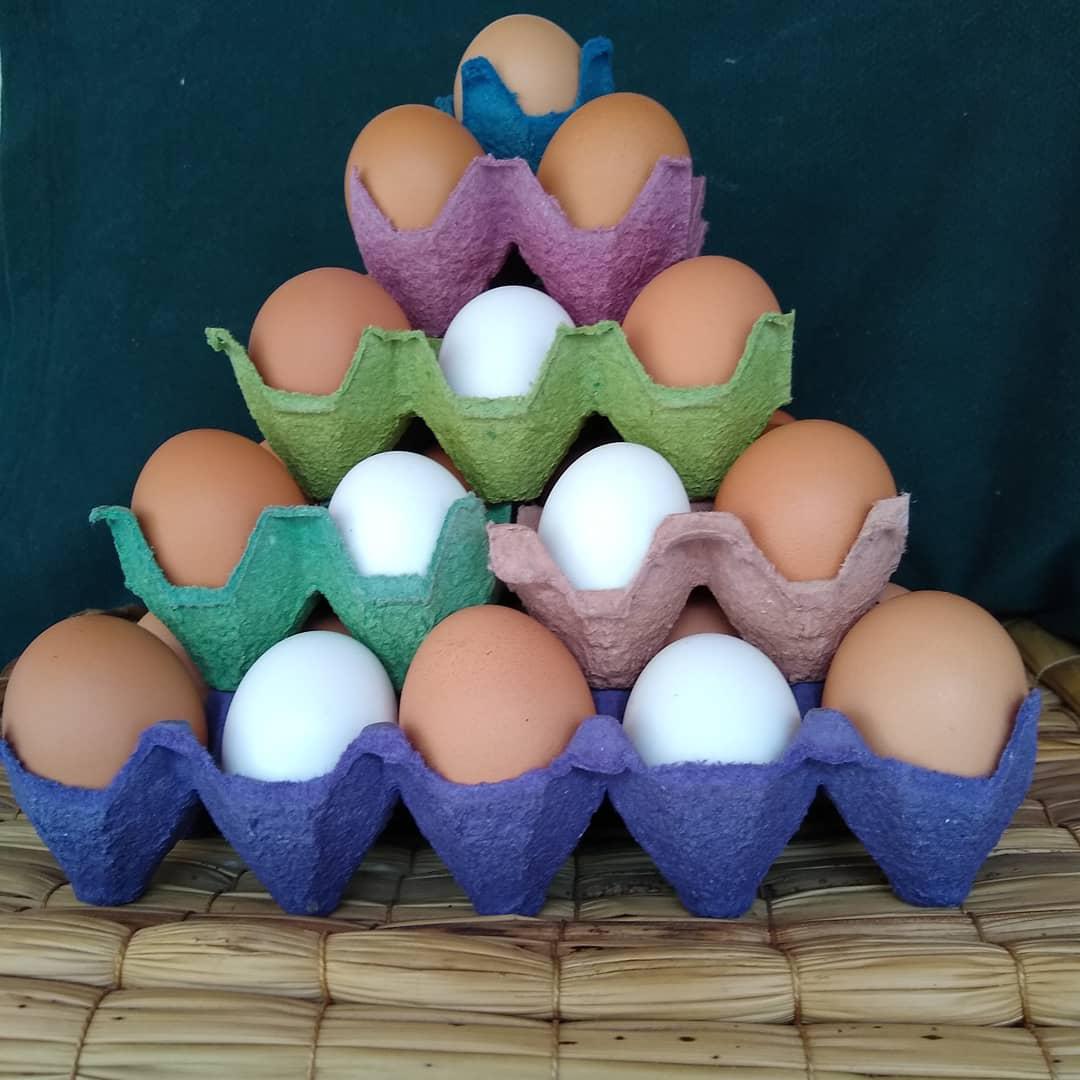 Huevos Criollos