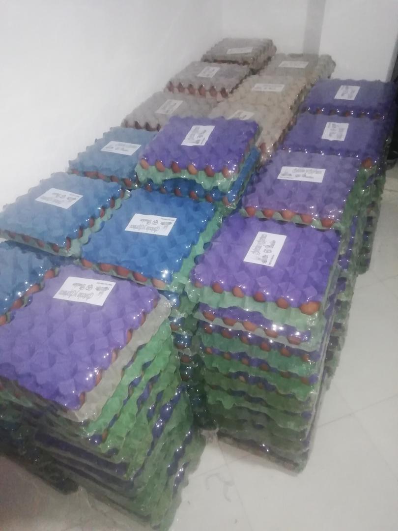 Huevos El Cashir A