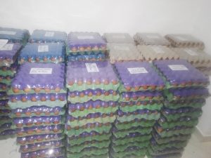 Huevos El Cashir Aa