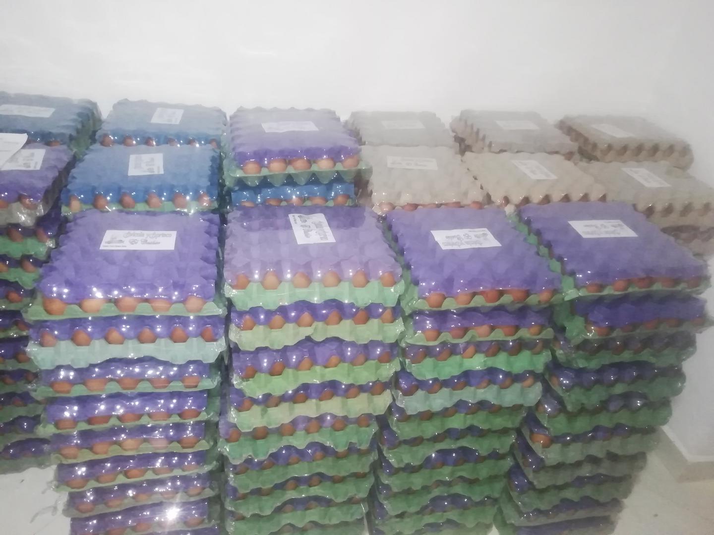 Huevos El Cashir Aa
