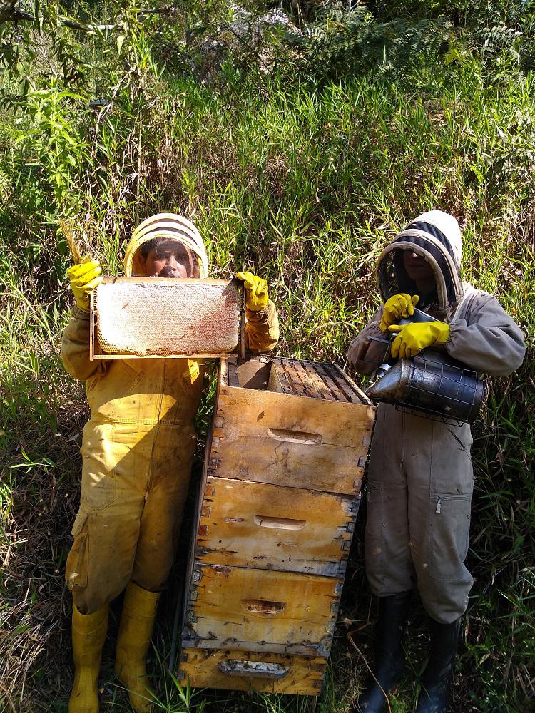Miel De Abejas X Cunete 25 Kgrs