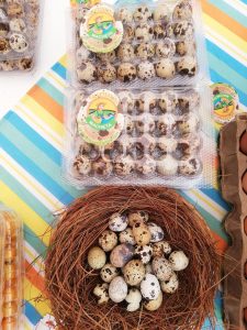 Bandeja X 24 Unidades