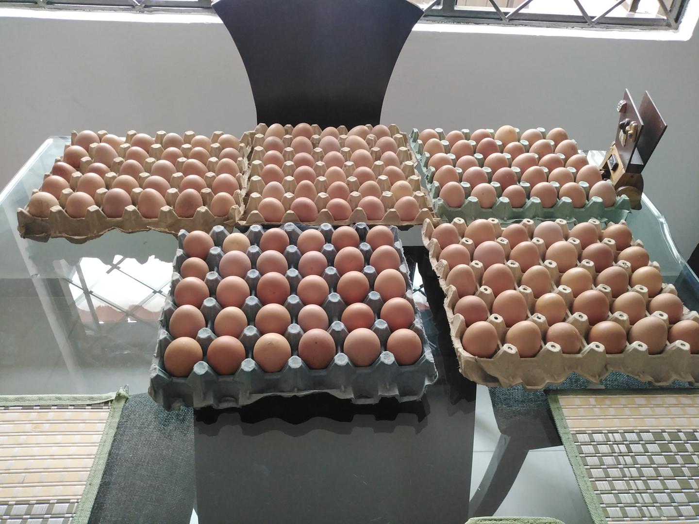 Huevos El Sol