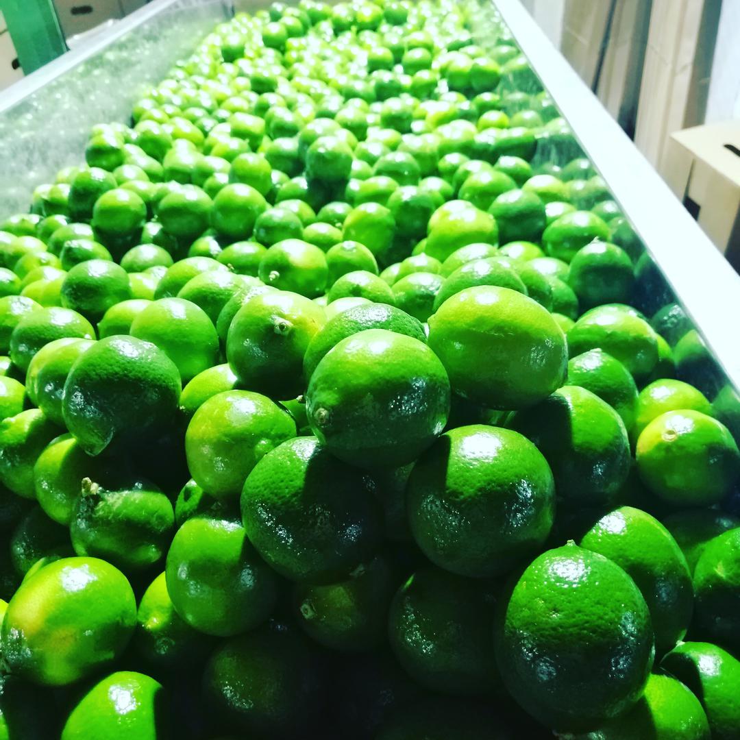 Limon Tahiti