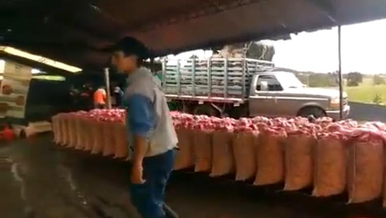 Zanahoria Y Remolacha Al Por Mayor