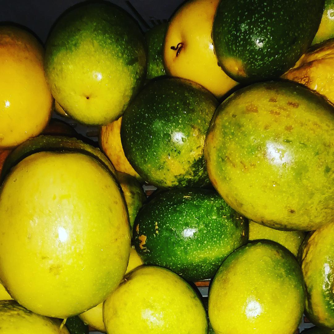 Maracuya
