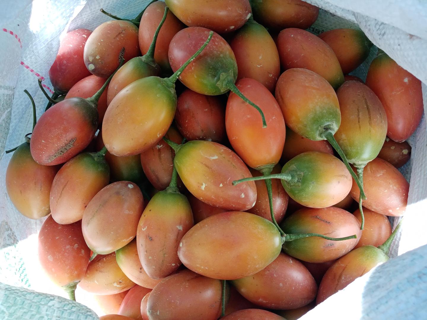 Tomate De Arbol Extra
