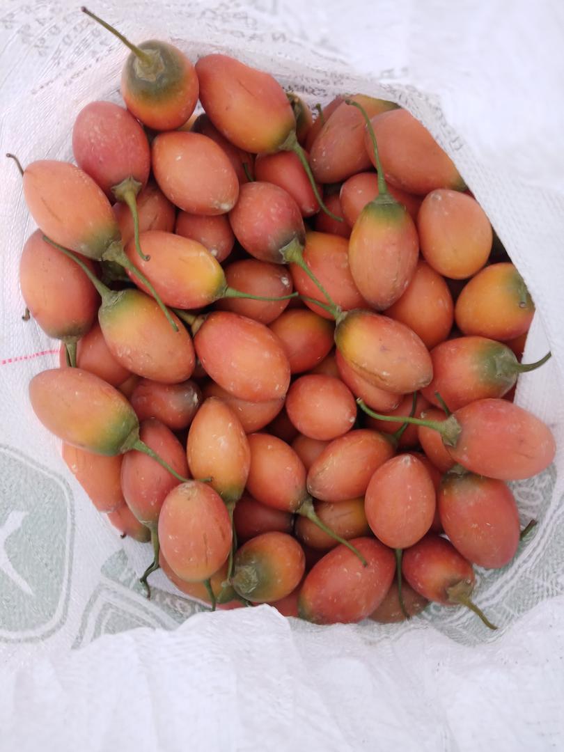 Tomate De Arbol Extra — foto 2 de 2