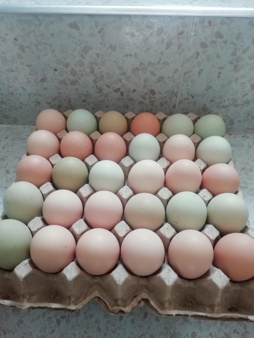 Huevos Campesinos
