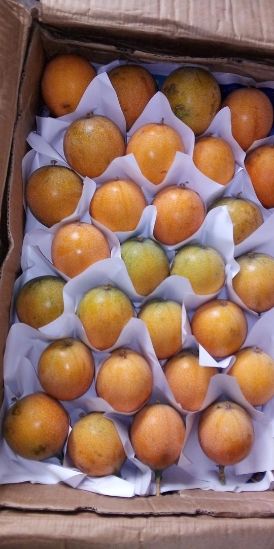 Granadilla