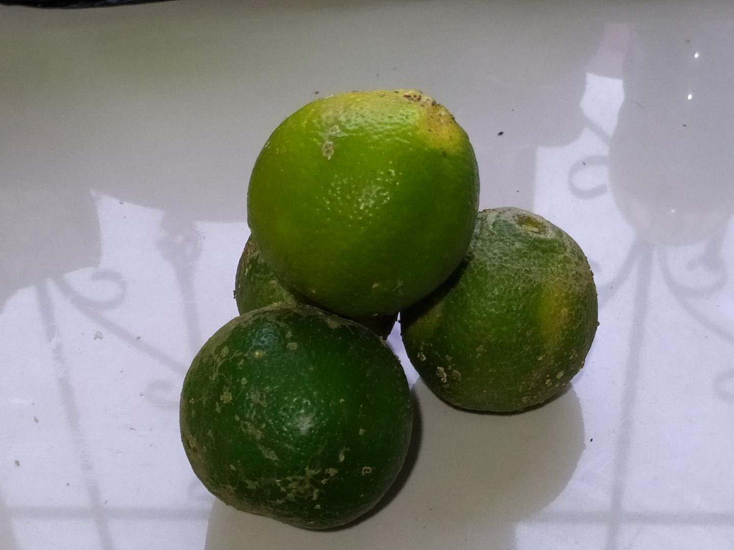 Limon Mandarino