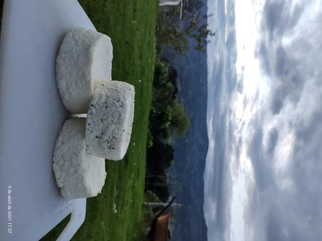 Queso De Cabra