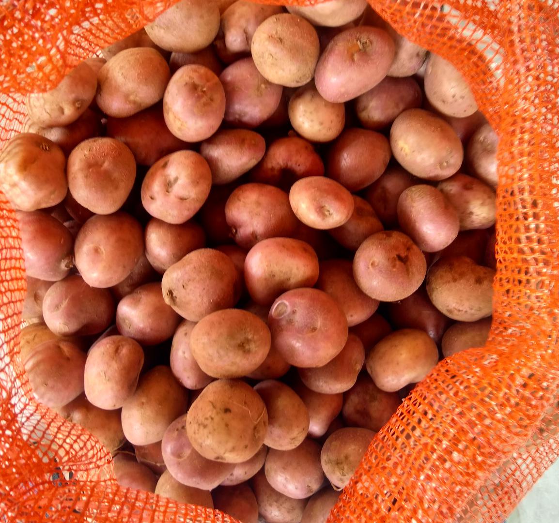 Venta De Bulticos De Papa De 11 A 12 Libras Lavada Y Seleccionada R12