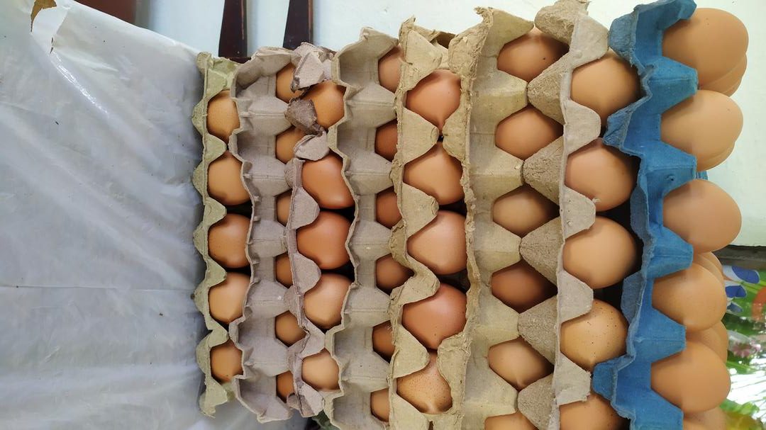 Huevos De Gallina