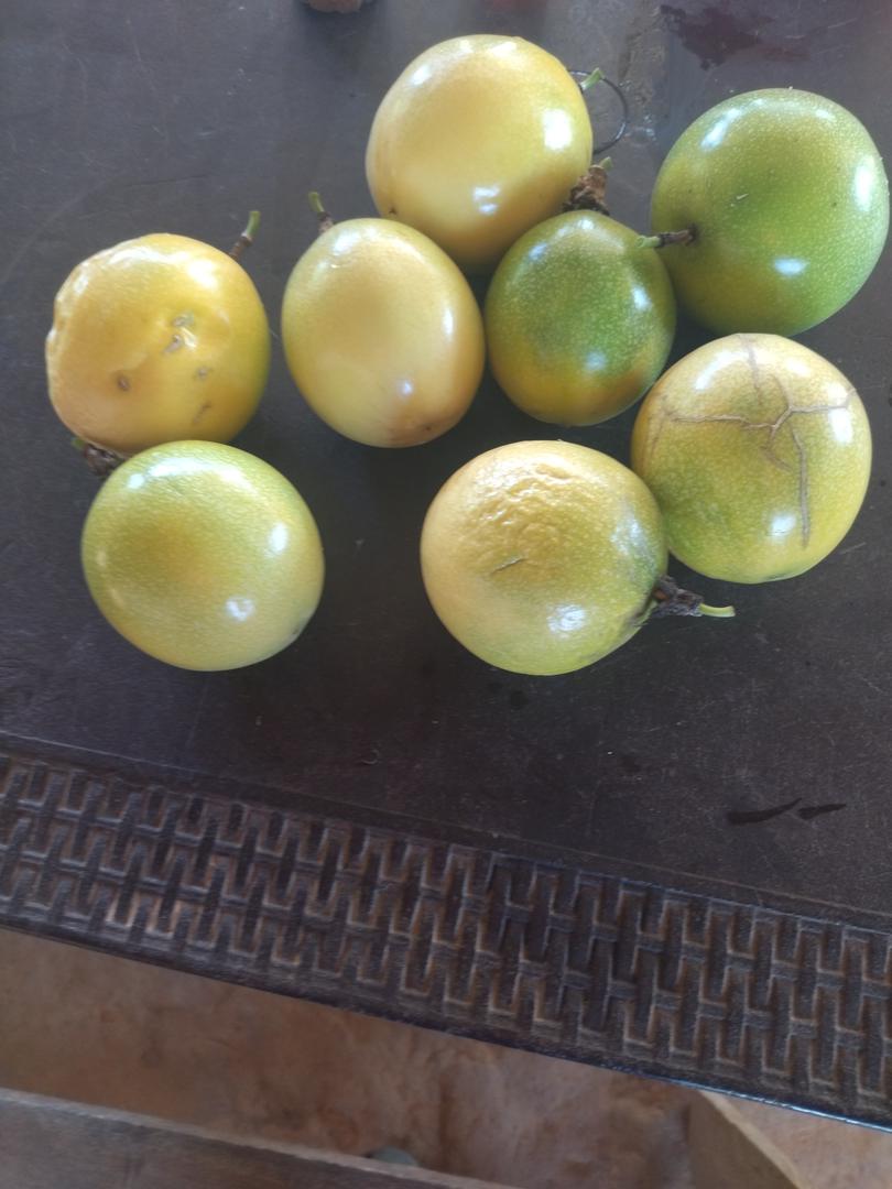 Fruta100 Natural