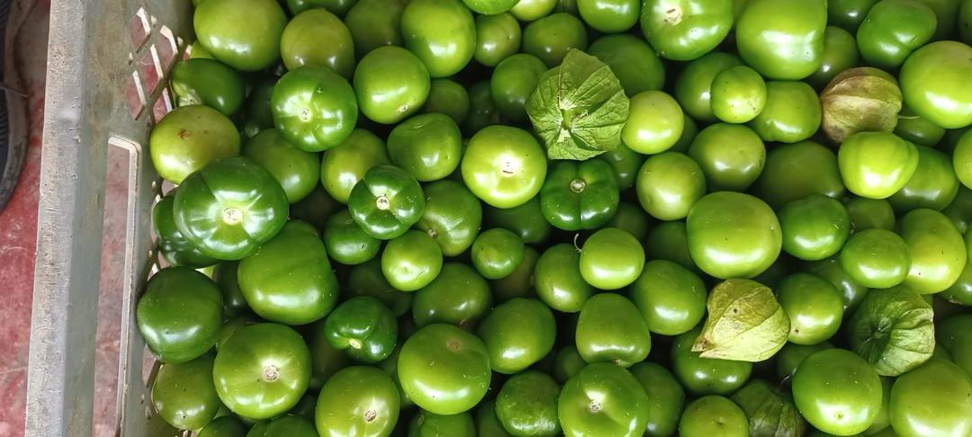 Tomatillo Verde Mexicano